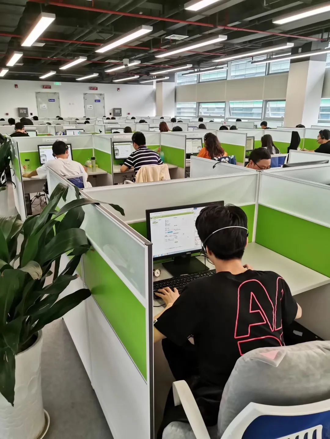 1681378332148579.jpg 10.jpg